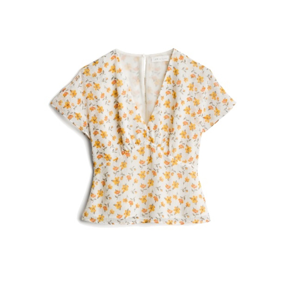 Clarlyn V Neck Blouse
